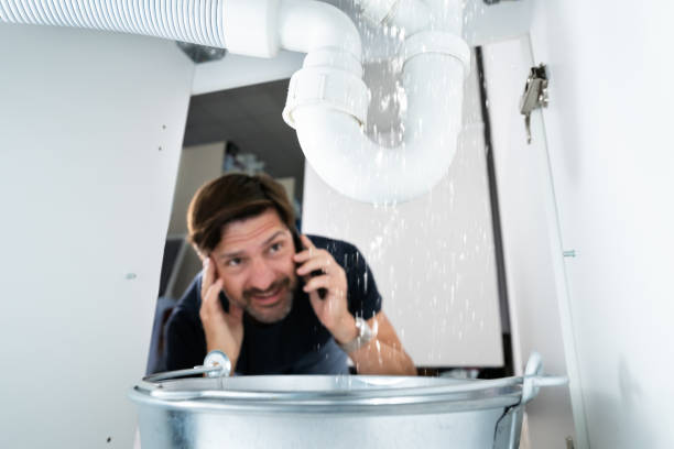Best Commercial Plumbing Services  in Mendon, IL