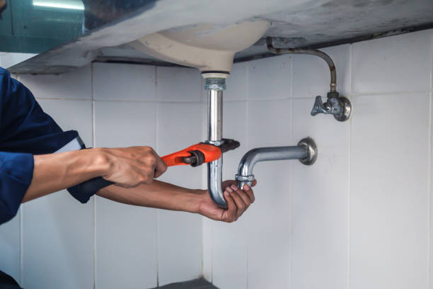Best Clogged Drain Plumber  in Mendon, IL